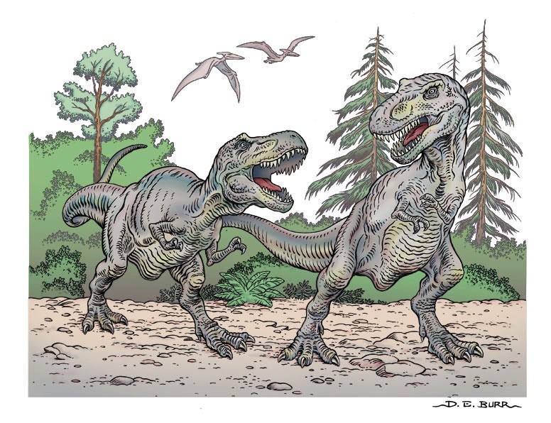 T-rex dinosaur line art and color illustration
